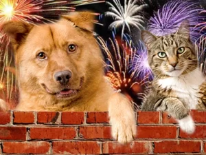 Božićni blagdani i doček Nove godine i u nas su asocijacija za vatromet i petarde