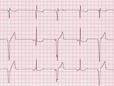 EKG pregled za pse i mačke