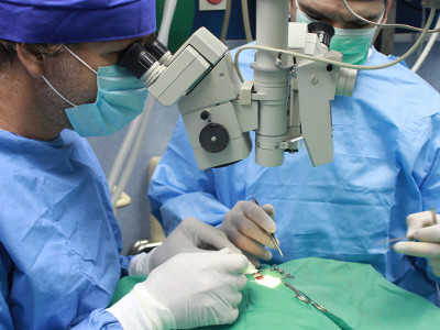Kirurška operacija u veterinarskoj ambulanti