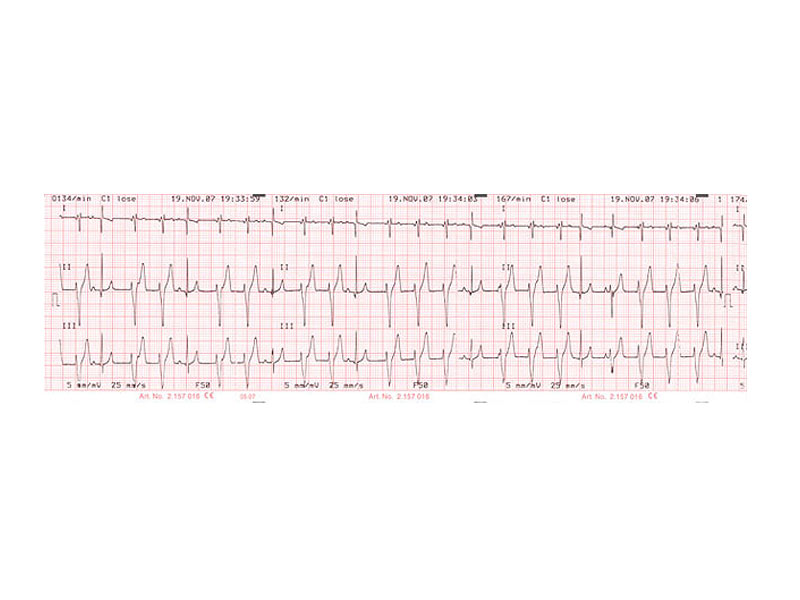 EKG za vaše ljubimce možete napraviti u našoj ambulanti za kardiologiju.
